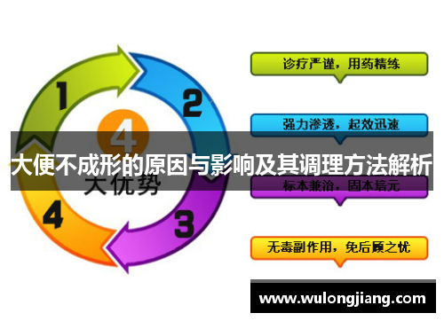 大便不成形的原因与影响及其调理方法解析