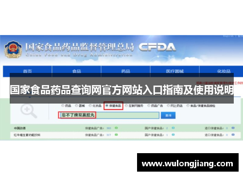 国家食品药品查询网官方网站入口指南及使用说明