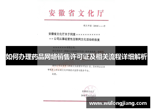 如何办理药品网络销售许可证及相关流程详细解析