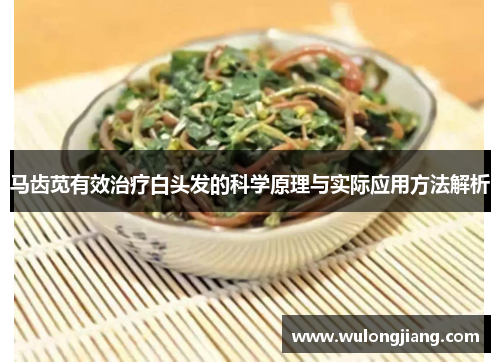 马齿苋有效治疗白头发的科学原理与实际应用方法解析